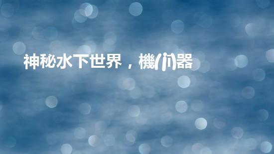 神秘水下世界，機(jī)器人探秘的奇幻之旅！